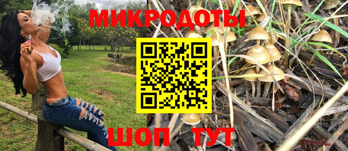 цены наркотик  Псилоцибиновые грибы Psilocybine cubensis  Кудрово  Вход с VPN  Галлюциногенные грибы ЛСД 
